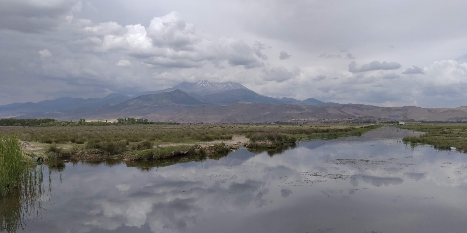 Sultan Marshes | Birdingplaces